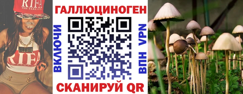 Галлюциногенные грибы прущие грибы  как найти   Чернушка 