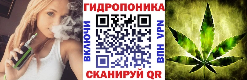 Шишки марихуана AK-47 Чернушка